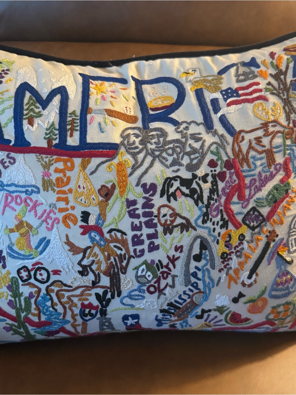 Cat Studio “America” pillow 2013